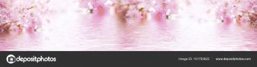 id4261