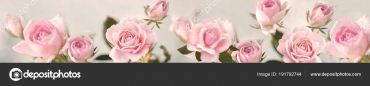 id4360