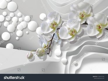 id4236