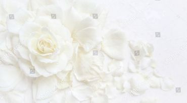 id6829