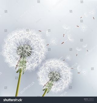 id4643